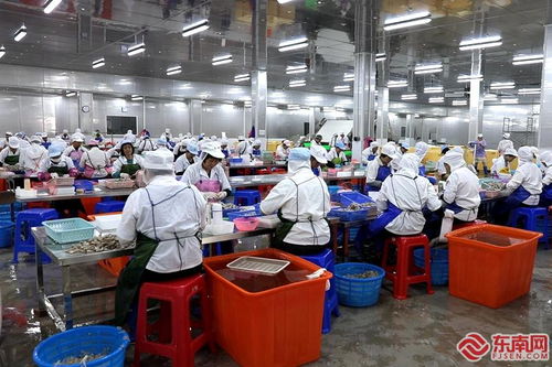 民營經濟高質量發展 詔安恒暉水產 專注水產定制化加工 年產值超10億元