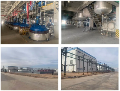 惡唑酰草胺、滅草松等原藥項(xiàng)目建成投產(chǎn),寧夏藍(lán)田已投資超過(guò)3.2億元